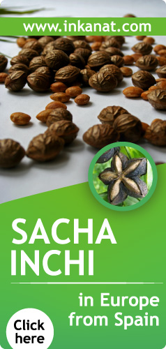 Sacha Inchi in Europe from Spain. Click here